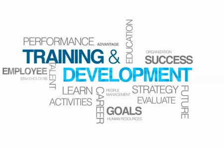 Training and development